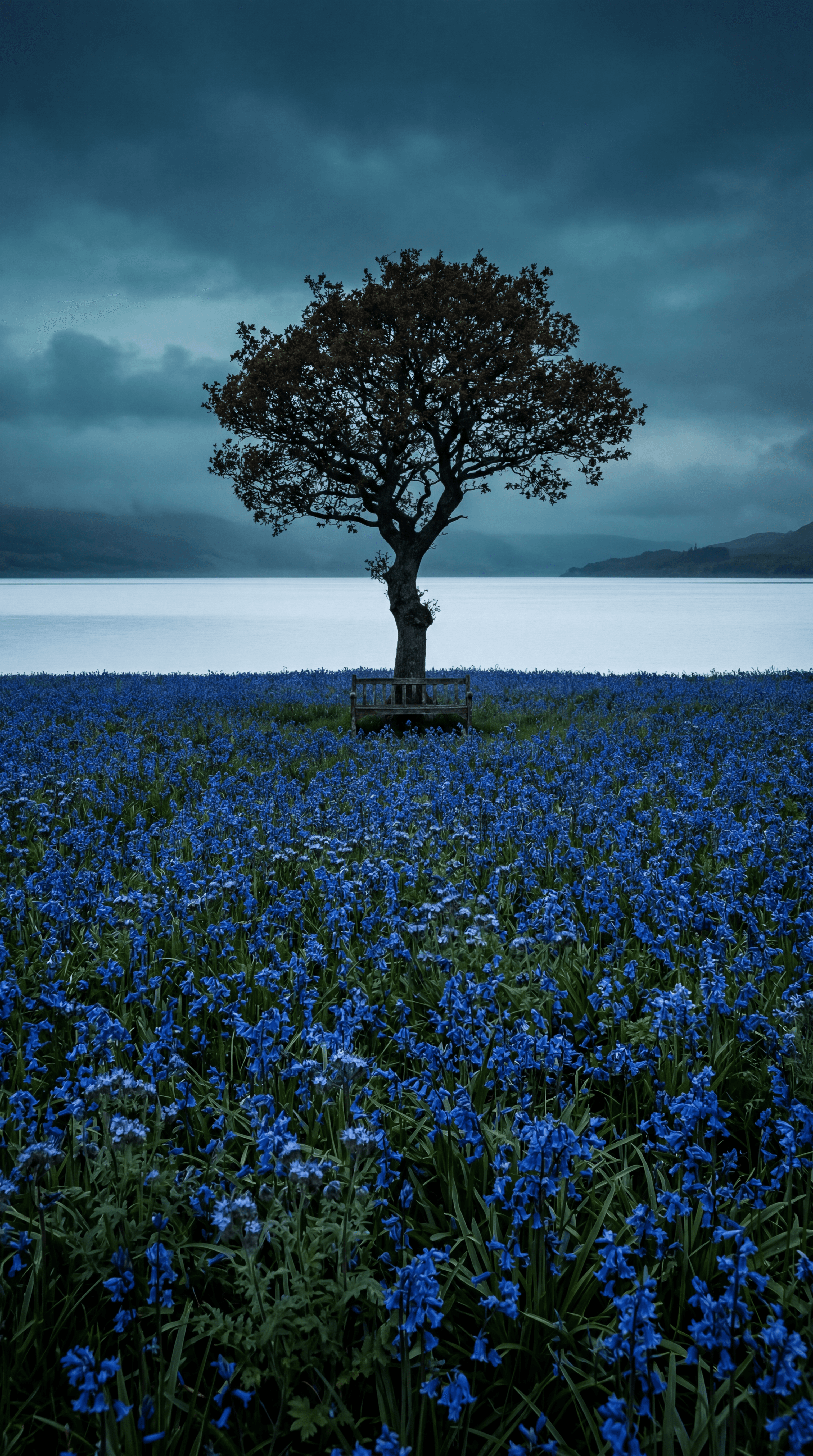 Seat of Blue Silence
