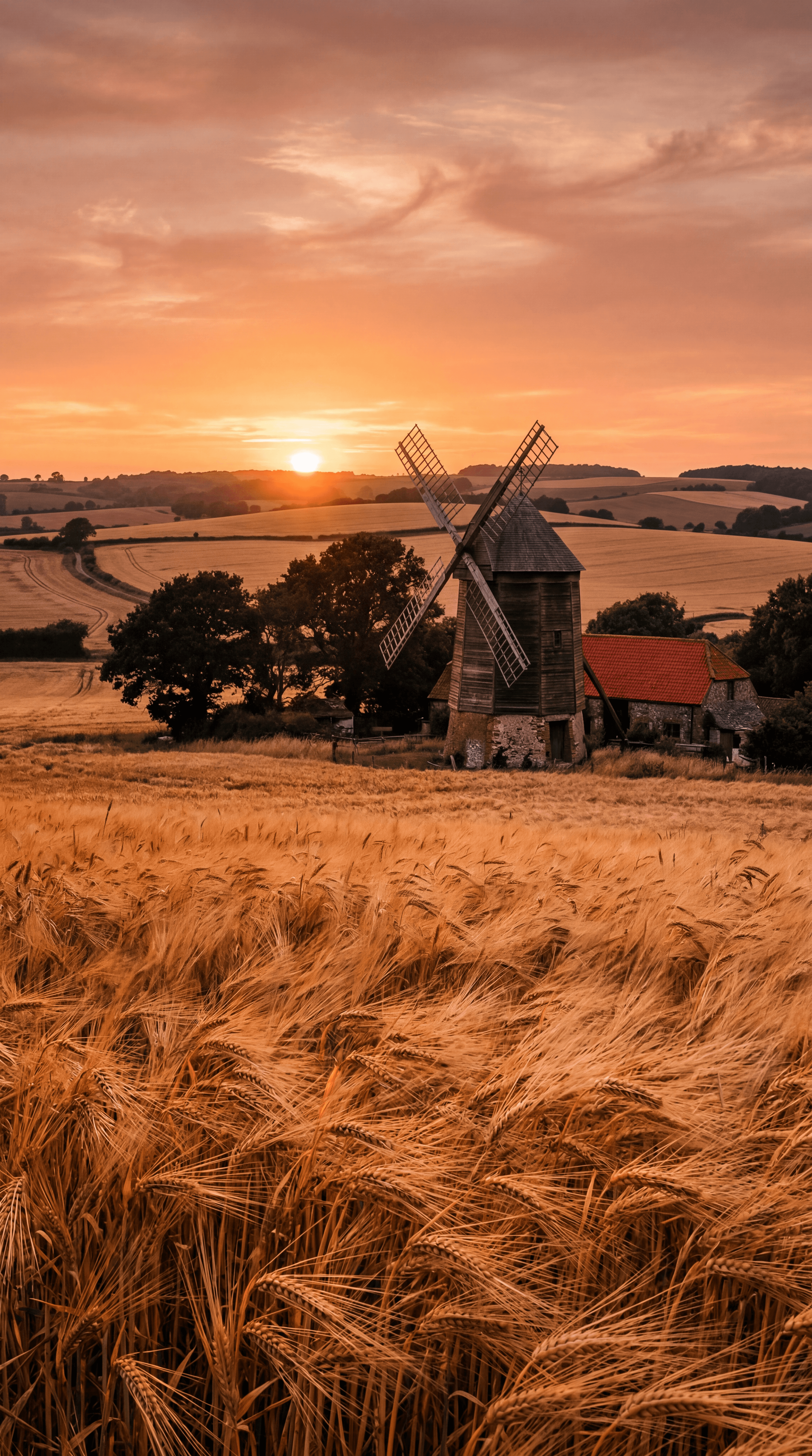 Golden Field Windmill
